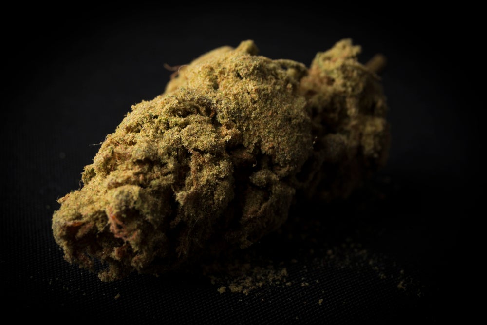 A picture of a moonrock bud. A cannabis bud is covered by a coating of kief.