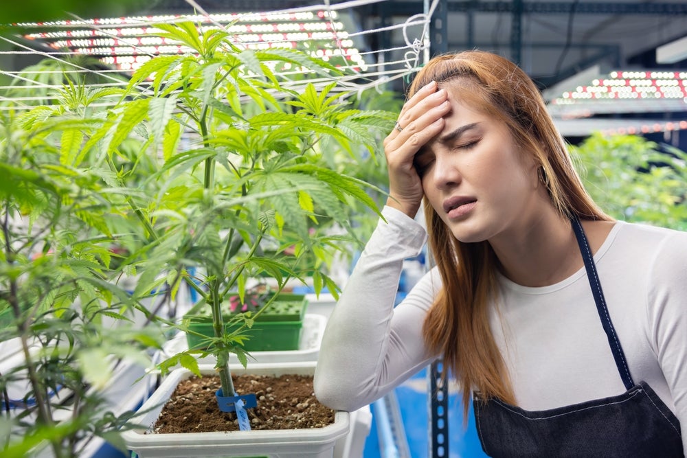 woman having a seizure with weed plant behind her.