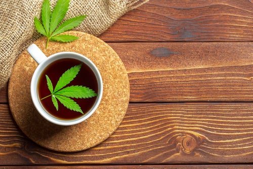 Cannabis herbal tea.