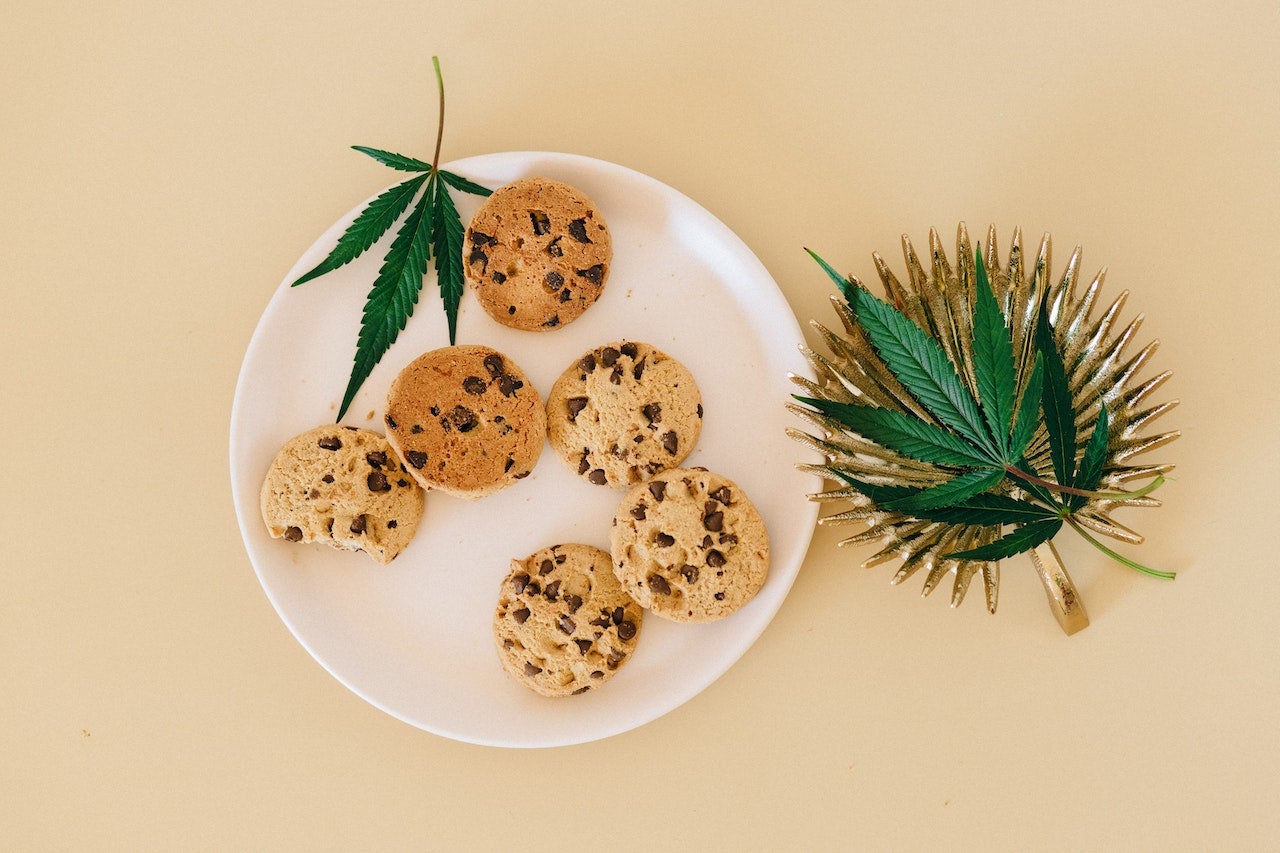 THC-infused cookies placed on a white plate. Cannabis leaves are placed around it.